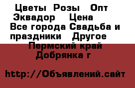 Цветы. Розы.  Опт.  Эквадор. › Цена ­ 50 - Все города Свадьба и праздники » Другое   . Пермский край,Добрянка г.